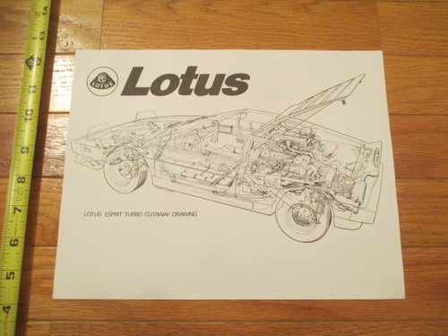 Lotus car auto automobile - auto,