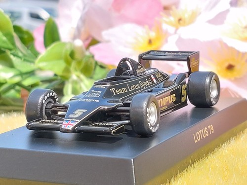 Team lotus 79 - team,